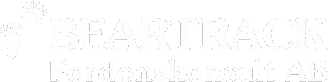 Beartrack Motorsport Och Fordonskonsult AB